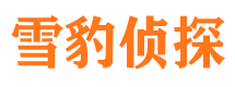 栖霞市侦探